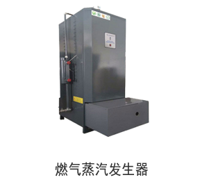 燃氣蒸汽發生器